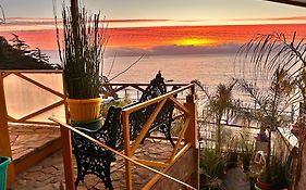 Pacificsunset Renaca